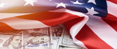 MFN - Inflation, Employment costs and Profits: the US evidence
