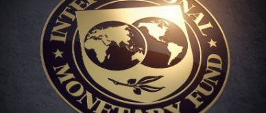 MFN - IMF: navigating global divergences