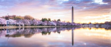 Takeaways from Washington