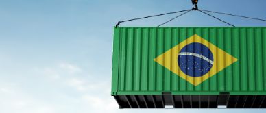 Trump's tariffs on Brazil: You've got a friend in me 