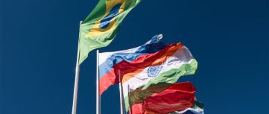 The growing importance of BRICS