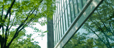 EFGAM's ESG Integration Approach